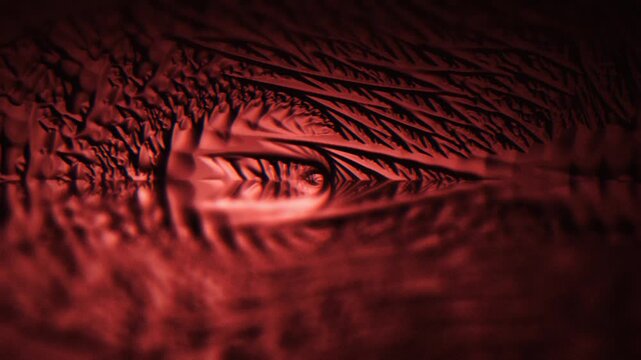 Red marbled swirls and mirrored tunnels create a vibrant seamless loop with strong symmetry and cinematic grain.