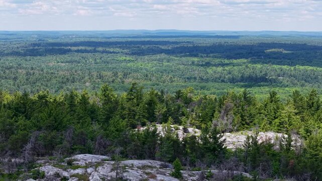 Drone floats above pale granite slabs and scattered conifers overlooking rolling layers of unbroken northern forest near Whitefish Falls