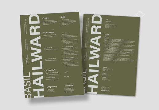 Modern Professional Resume Template Layout