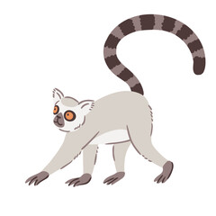 Obraz premium Animal illustration. Walking ring tailed lemur drawn in a flat style. Isolated object on a white background. Adorable Lemur nursery poster