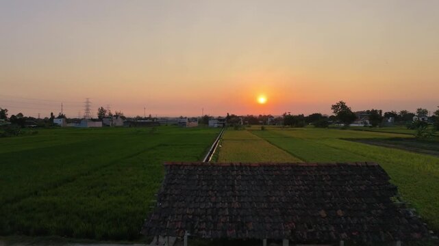 Aerial drone video moving backward over beautiful green rice fields and an irrigation canal during sunset. The rural landscape features a village, agricultural farms, and a glowing golden hour sky.