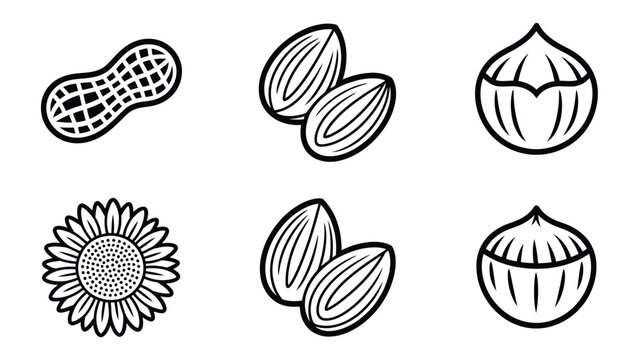 Set of nuts and seeds line icons