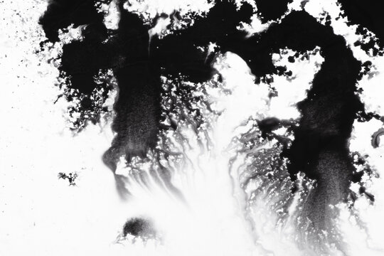 Abstract Black and White Ink Wash Fluid Background