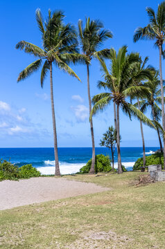 Plage aux cocos, Grand&rsquo;Anse, &icirc;le de La R&eacute;union 