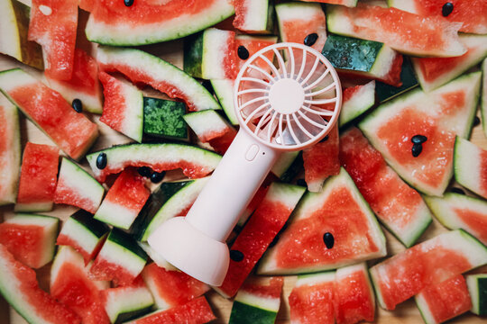 Portable electric fan lies on top of watermelon rinds and pieces scattered on surface. Beat the heatwave concepts, coping with high summer temperature, global warming adaptation solutions.