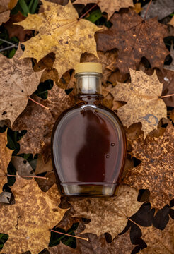 Autumn harvest and natural sweetener, maple syrup bottle on a bed of fallen maple leaves, seasonal food and organic product