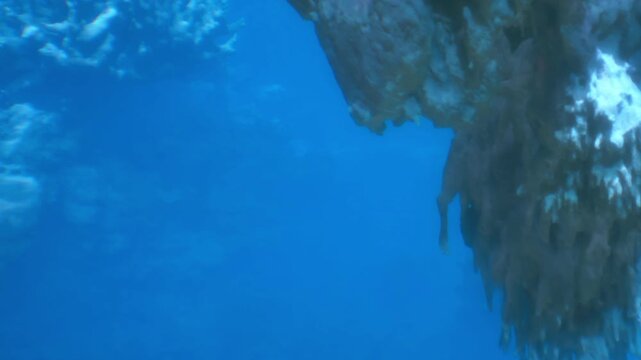 Scuba divers swim near large rock formations under the ocean. Sunlight filters through the water, creating clear visibility. The divers are observing marine life around the rocks.