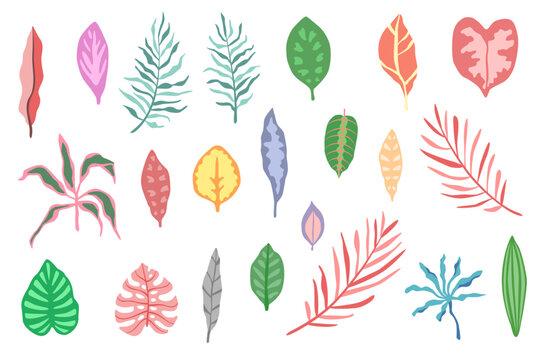 Vector illustration set of colorful tropical leaves. Hand drawn botanical elements isolated on white background, for summer designs.