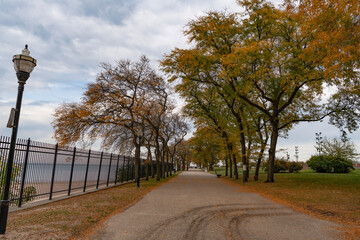 Fototapeta premium Autumn nature landscape. Fall leaves in park. Nature fall season. Fall season park. Autumn leaf natural foliage at park alley. Landscape autumn nature. Yellow leaves on tree. Seasonal autumnal tree