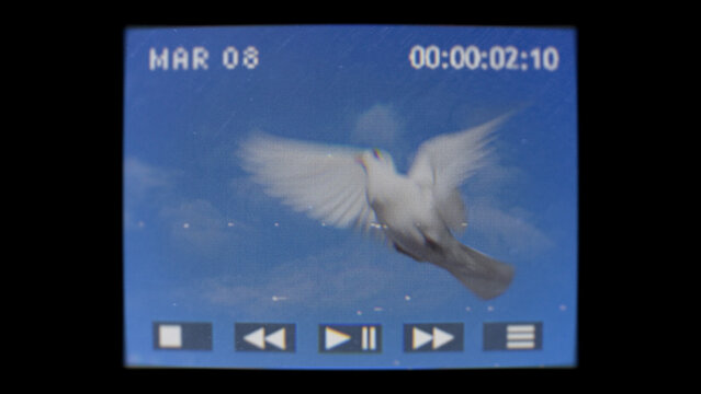 VHS Flashback Vision