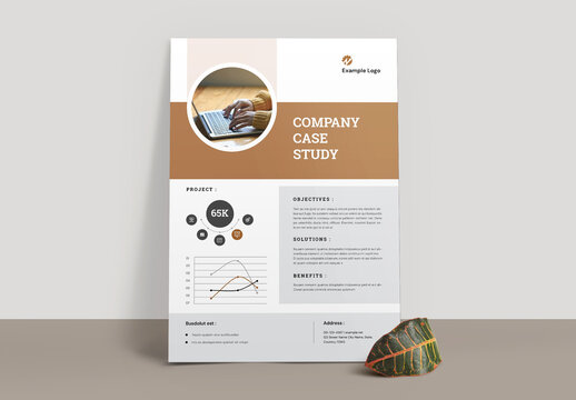 Case Study Flyer Template