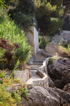 chemin des douaniers au Cap d'Ail