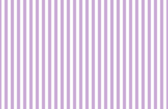 Abstract Purple rose color background. It is patterns.
