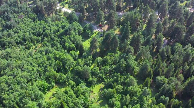 Svaneti forest canopy fills elevated aerial view across dense mixed woodland near Mazeri, Georgia, supporting forestry monitoring, biodiversity research, ecosystem mapping, mountain conservation media