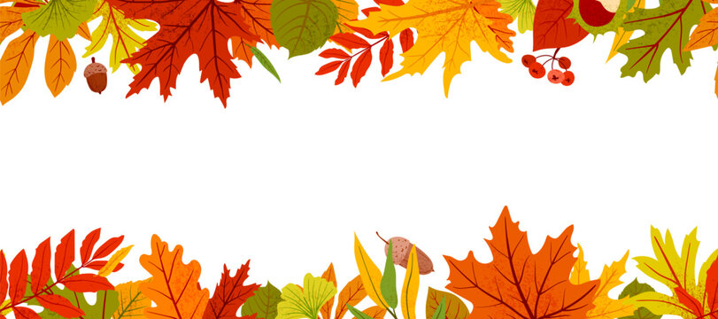 Autumn leaves frame with seamless top and bottom borders. Seasonal vector background design featuring colorful maple and oak foliage with noise texture on white background and copy space