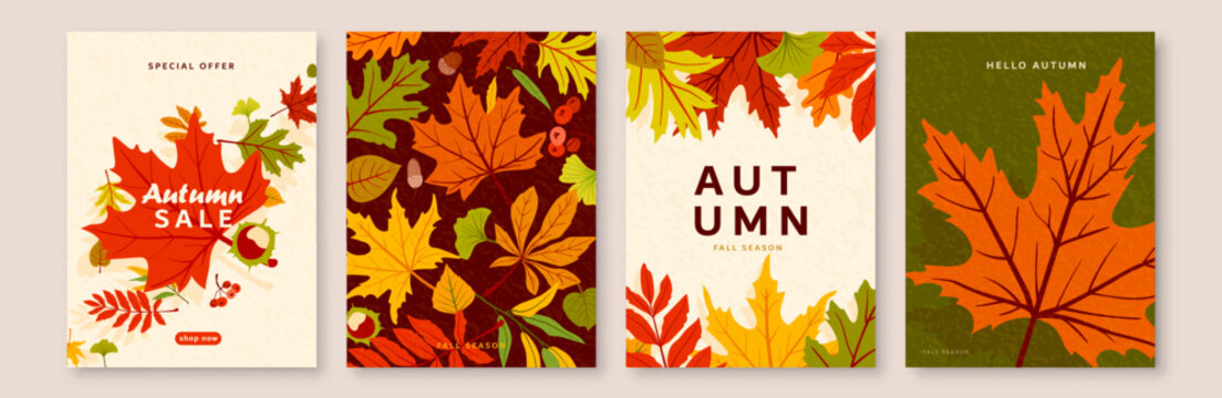 Autumn sale poster and cover templates set with colorful fall leaves. Modern seasonal vector backgrounds featuring maple foliage, text space, noise texture, ideal for promo flyers and banners