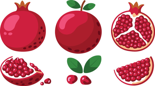 Fresh Pomegranate Fruit Vector Set with Whole Half Cut Slices Arils Seeds and Leaf Elements for Healthy Nutrition Graphic Designs