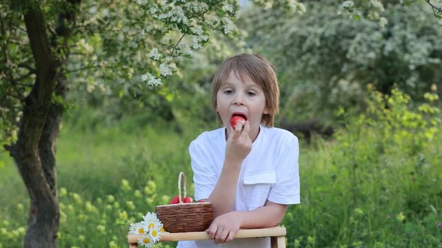 Beautiful blond child, boy, eating strawberries and gathering flowers