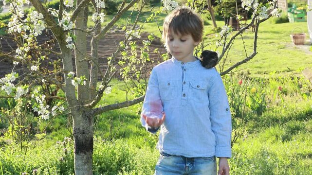 Cute sweet little blond child, toddler boy, playing with little chicks in the park, baby chicks and kid springtime