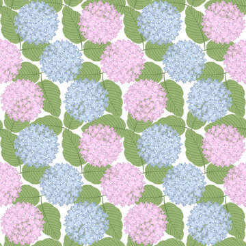hydrangea seamless pattern