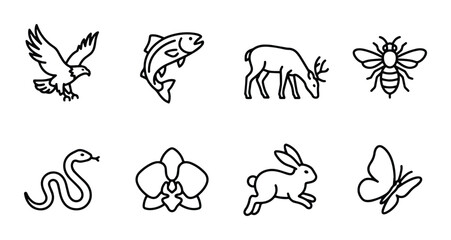 Fototapeta premium Nature Icons Set: Wildlife, Insects, Flora, Vector Graphics for Ecology and Biology