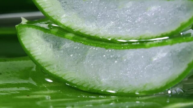Fresh Juicy Aloe Vera Leaf	