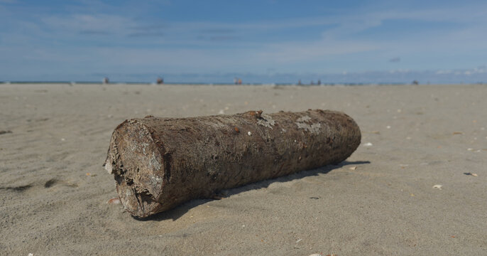 Baumstamm am Strand von SPO