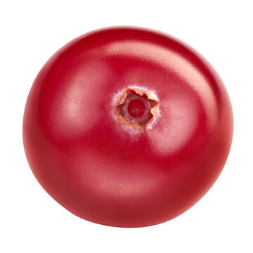 Organic single cranberry berry close up. Cranberries isolated on white background with clipping path. Professional food photography