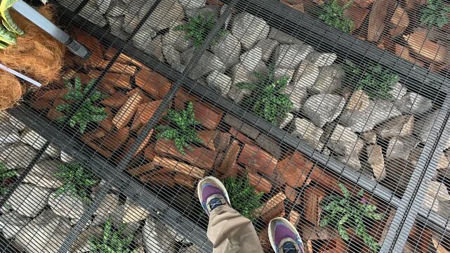 A steel frame building floor with elevated wire mesh walkway. It allows light to reach the garden below while creating a floating floor effect.