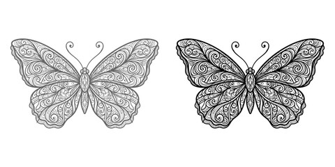 Vintage scientific illustration of two butterflies showing detailed wing patterns and anatomy for biology study in a classic etching style © SahadotPro
