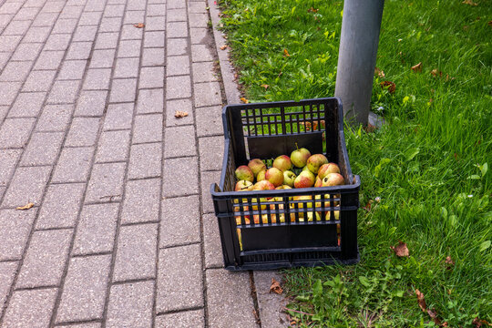 Roadside Crate of Free Apples Invites Community Sharing and Hospitality