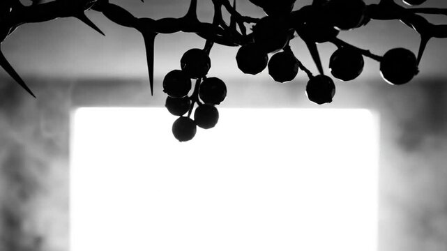 Mysterious monochrome silhouette of a crown of thorns and berries above a bright white light backdrop