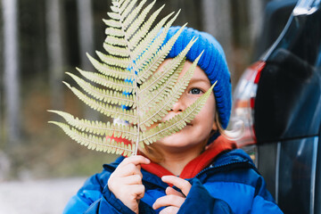 A cute young boy completely hides his face behind a large green fern leaf near a car. Joyful parenting lifestyle concept captures the silly and imaginative games children play during trips. © nataliaderiabina