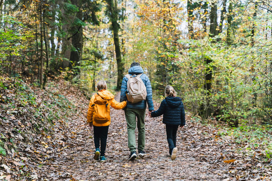 A loving family holding hands walks away down a beautiful forest path completely covered in fallen autumn leaves. 