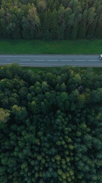 Truck driving along forest highway beside dense green woodland in overhead travel scene