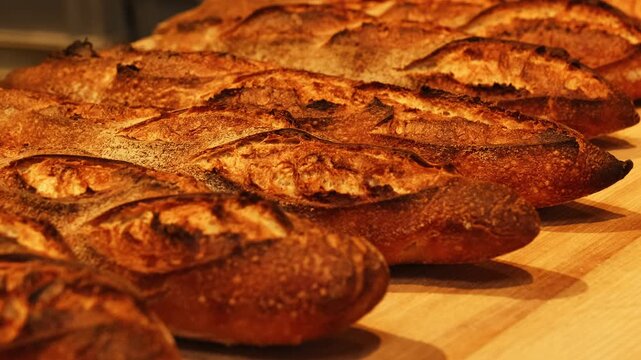 Delicious baguettes with crispy crust rest on wooden table in kitchen. Healthy fresh buns arranged on tray in craft bakery. Small business