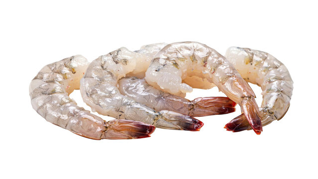 Several raw peeled shrimp arranged in a group, showing translucent flesh and pink tails, isolated on a solid black background surface