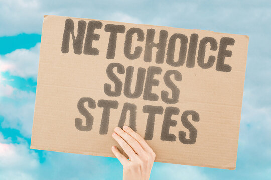 "NetChoice sues states" Trade group challenges regulations. TRADE. GROUP. CHALLENGES. REGULATIONS. FIRST.