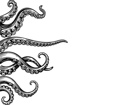 Octopus Tentacles Hand Drawn Engraving, Vintage Kraken Sea Monster Black and White Border Illustration