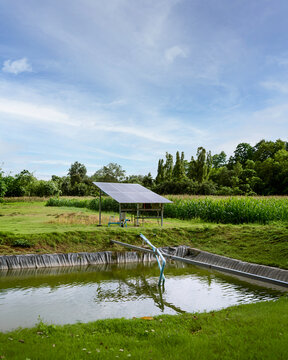 Off grid solar water pumping system beside a farm pond and crop field, using photovoltaic energy for irrigation, water management, sustainable agriculture, and renewable energy.