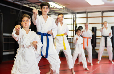 Group of children and teenagers practicing karate technique in gym © JackF