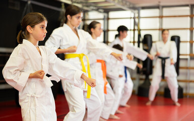 Group of children and teenagers practicing karate technique in gym © JackF