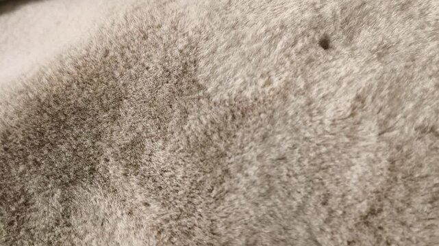 soft faux fur of a coat, eco fur clothing, warm winter outerwear and autumn and winter fashion concept.
