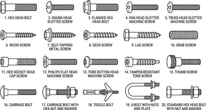 Mechanical screw and bolt type chart collection with labeled machine fasteners for industrial assembly engineering project