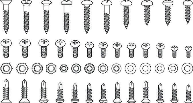 Screws bolts nuts and washers vector collection organized by size and head types for mechanical hardware illustration