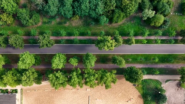 Aerial drone video shows empty asphalt road cutting through dense green parkland with parallel walking paths. Top view highlights quiet transport infrastructure, summer foliage, geometry, nature