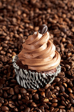 With mocha bean decorated cup cake in paper cup on coffee beans