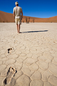 Africa, Namibia, Man walking in desert, rear view