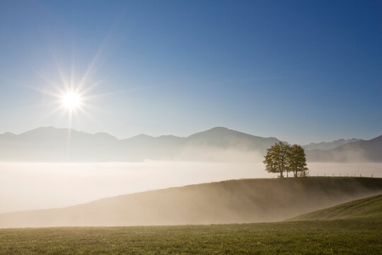 Germany, Bavaria, Fields, fog, back light, the Alps in background