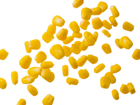 Sweet corn kernels floating in air isolated on white background